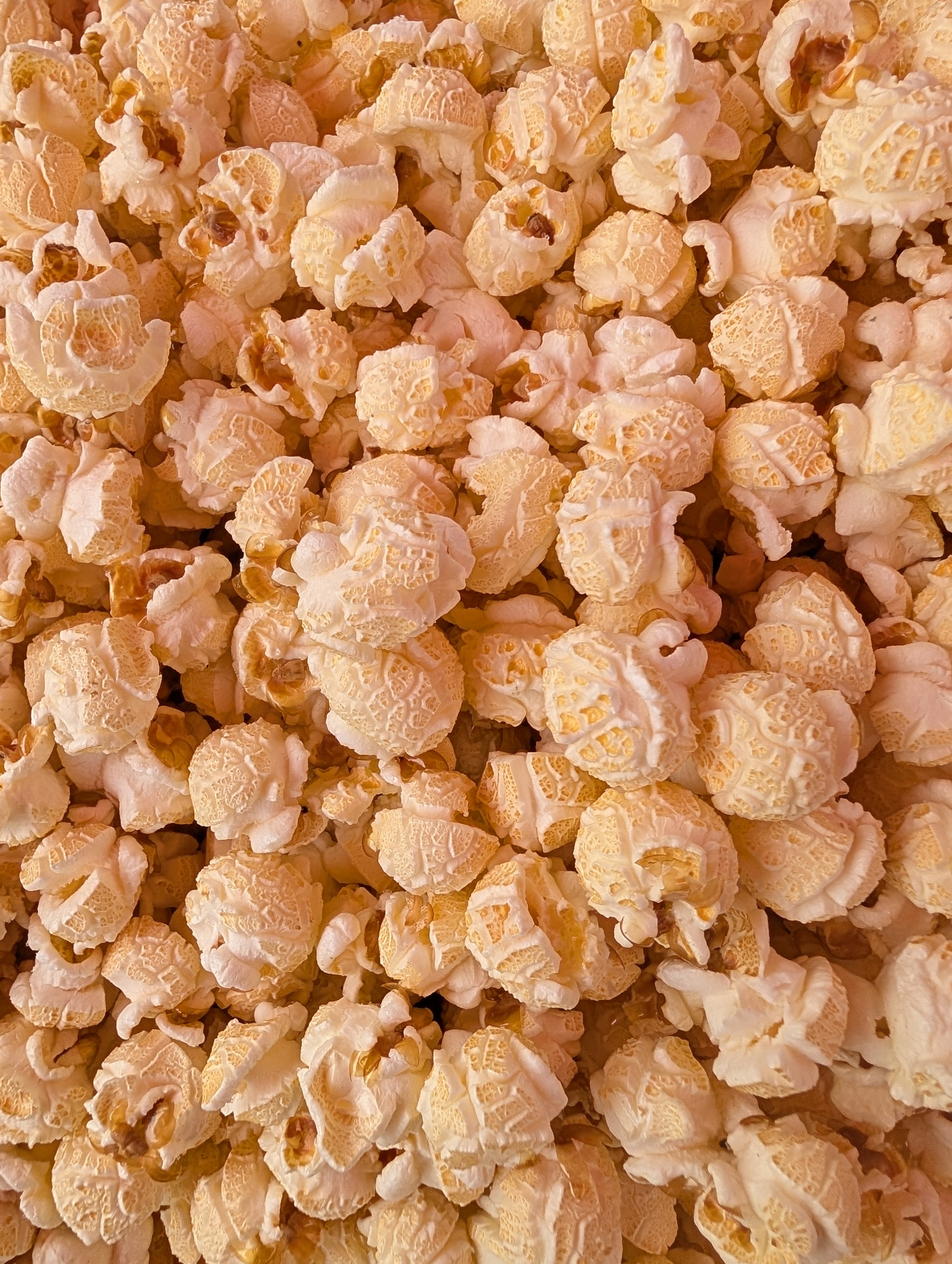 Family Movie Night Pack (SHIPS FREE!)