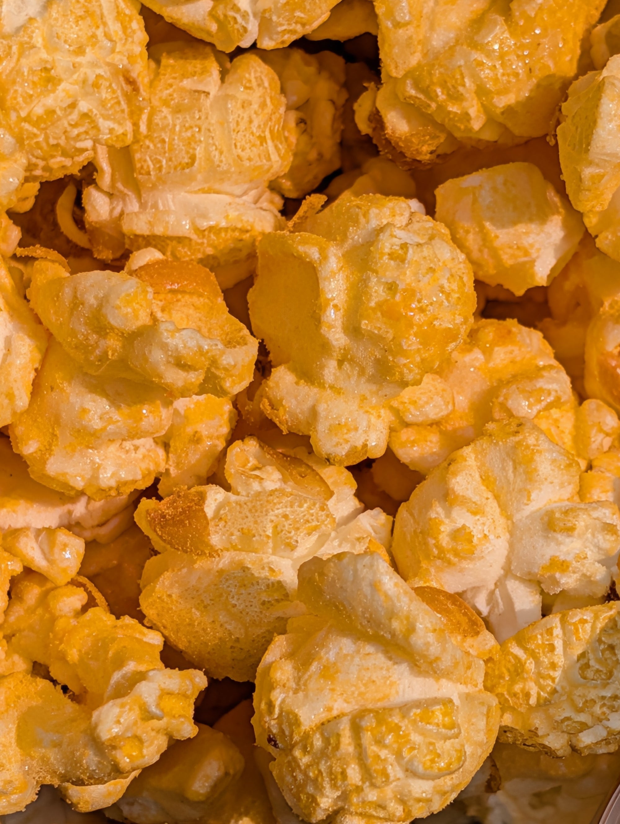 Cheddar Coated Kettle Corn (Limited Drop)