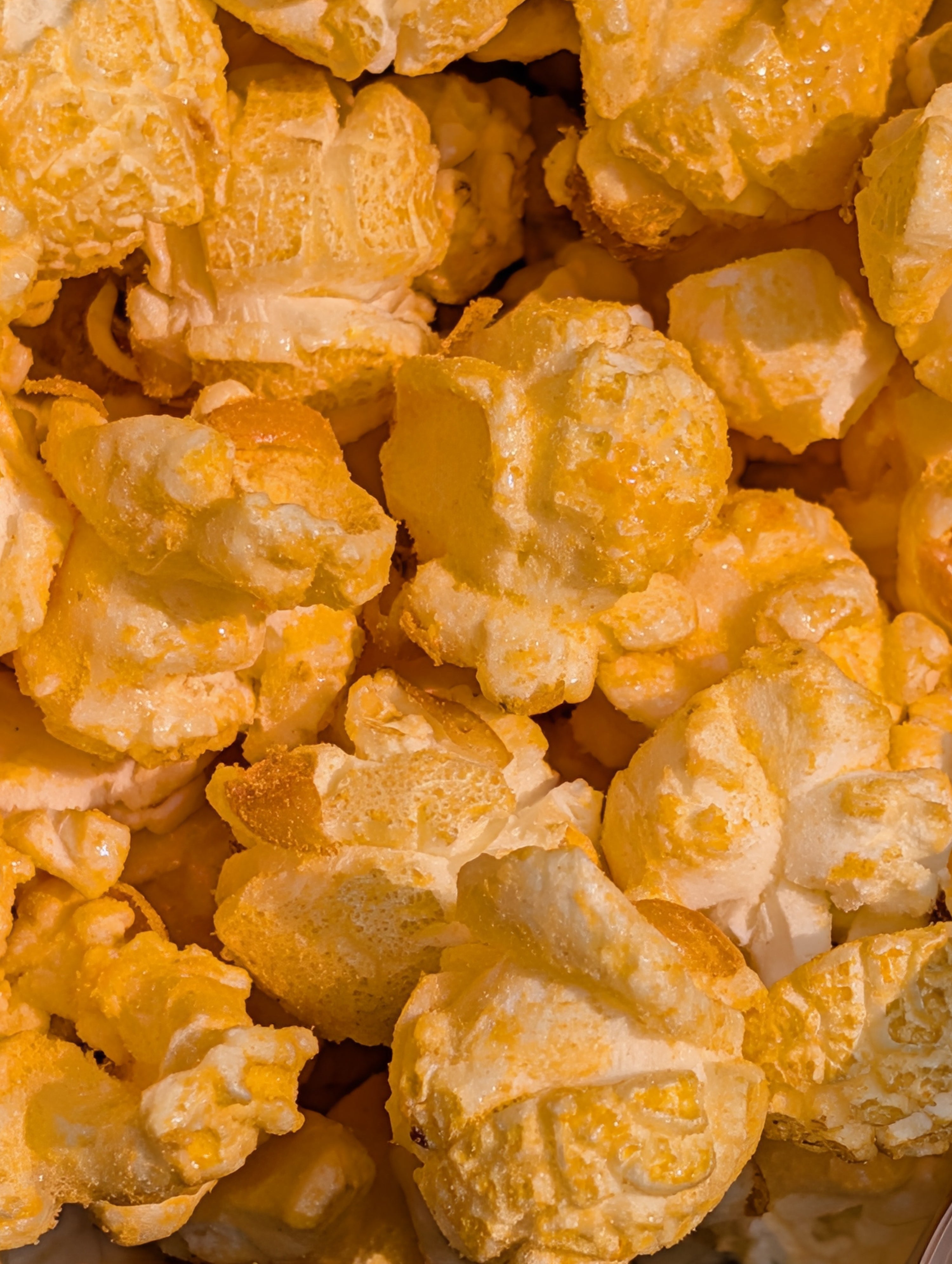Cheddar Coated Kettle Corn (Limited Drop)
