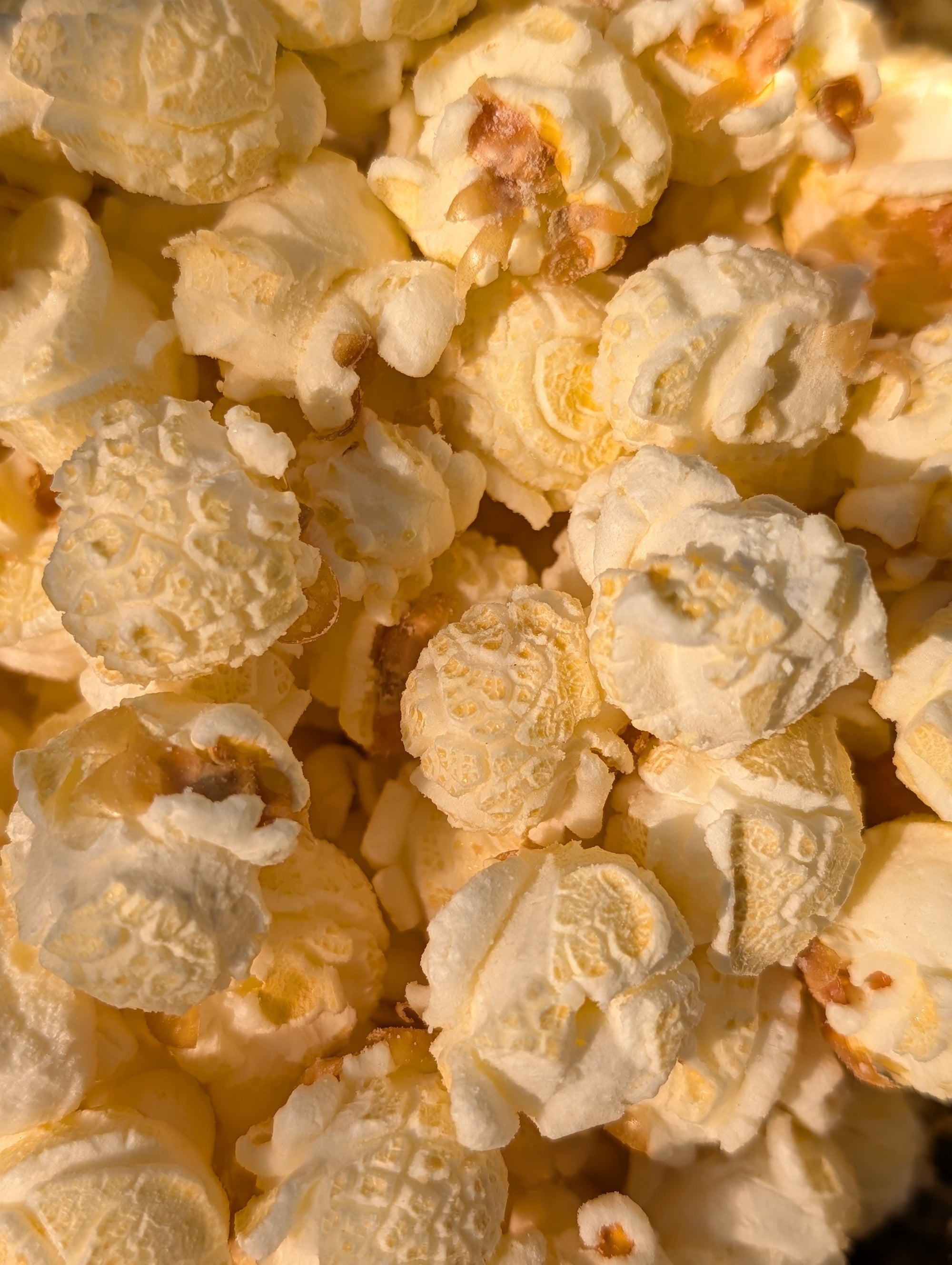 Butter Popcorn (Limited Batch)